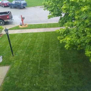 Mowing Lawn