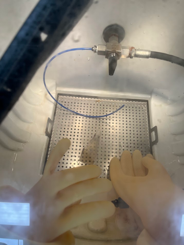 Cleaning Nozzle with Pressure Washer