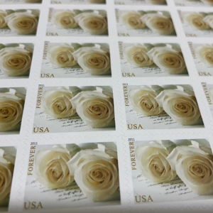 USPS Forever Stamp Flower Sheet of 25