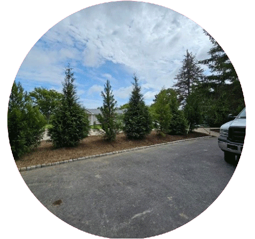 czxccxc-removebg-preview