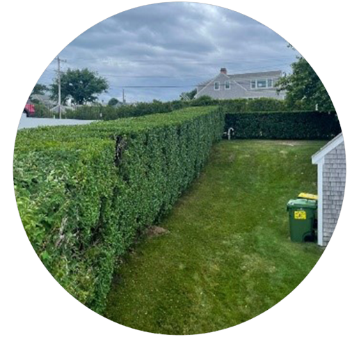 zcxzcxzcxzczxv-removebg-preview