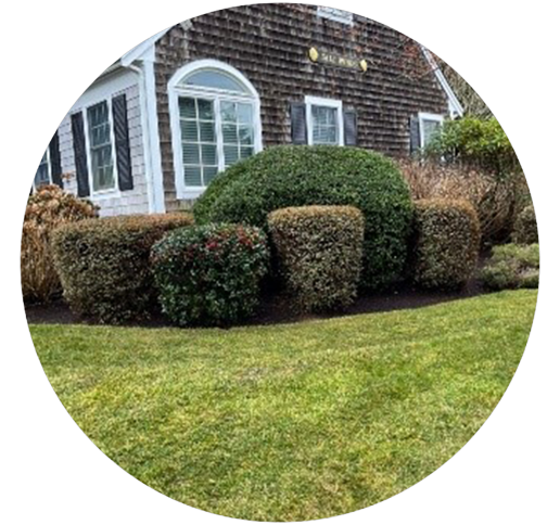 zxcxvdvdv-removebg-preview